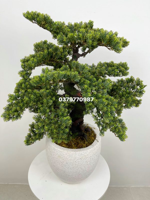 Cây tùng giả dáng bonsai sang trọng