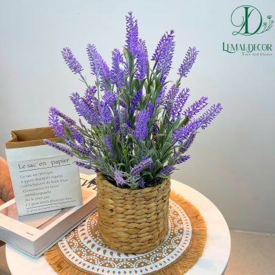 Hoa lavender màu tím màu sắc bắt mắt