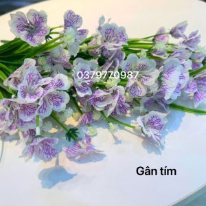 hoa thuỷ tiên gân trắng