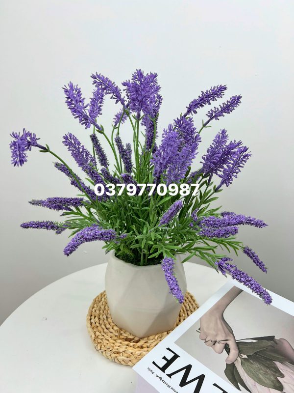 Bình hoa lavender