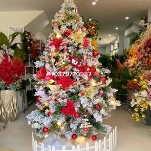 Cây thông noel được trang trí tại cửa hàng