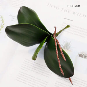 Lá lan hồ điệp, cành lá giả trang trí