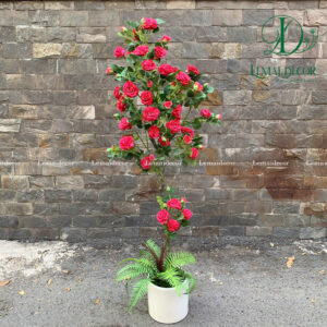 Cây Hoa Hồng Hồng Đậm cao 150cm kèm chậu