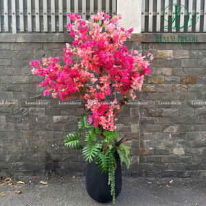 Cây hoa giấy kèm chậu 180cm