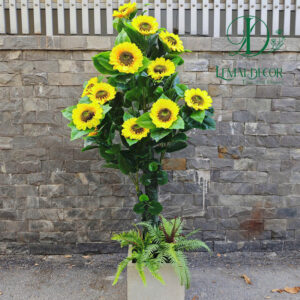 Cây Hoa Hướng Dương 15 bông hoa kèm chậu cao 185cm – tán rộng 80cm